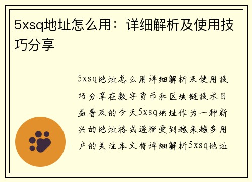 5xsq地址怎么用：详细解析及使用技巧分享